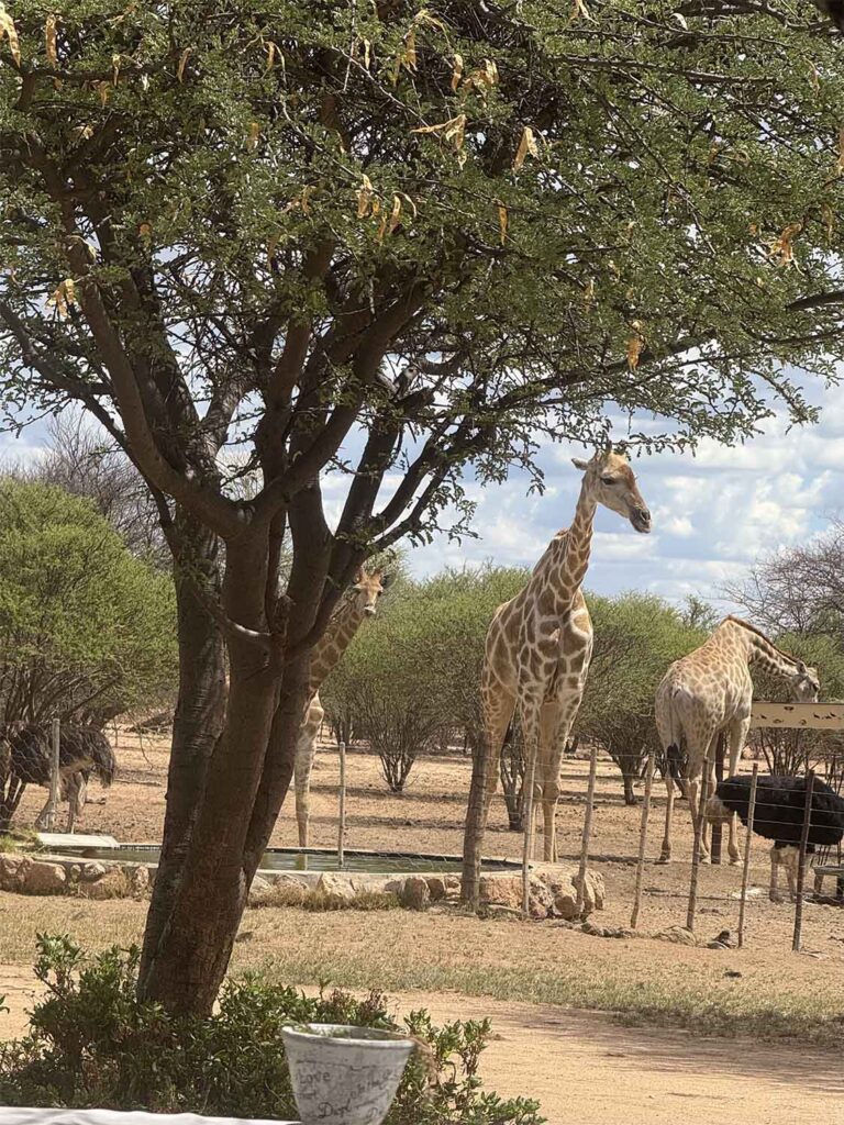 Bucket travel and wish list webimage 2