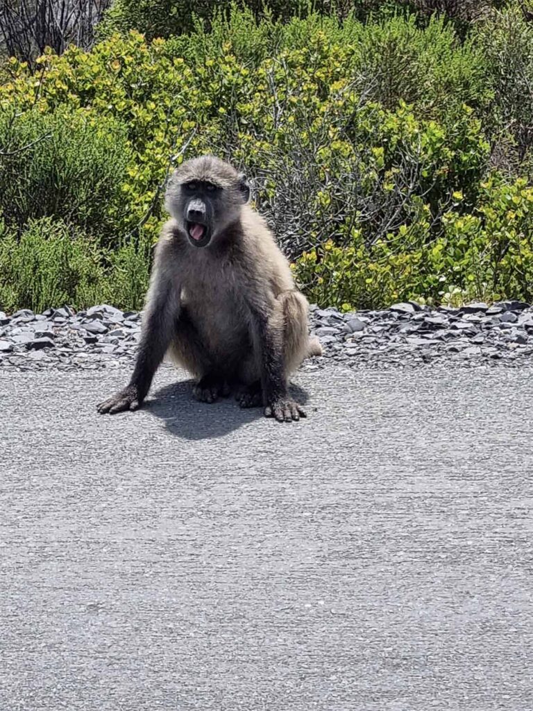 Bucket travel and wish list webimage 4