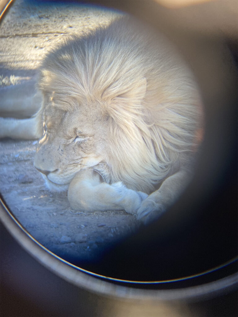 Bucket travel and wish list webimage 7